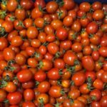 Tomate cherry BIO - imagine 2