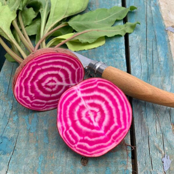 Sfeclă Chioggia BIO cu Frunze – Fermă Certificată Ecologic bio&co | 1 kg